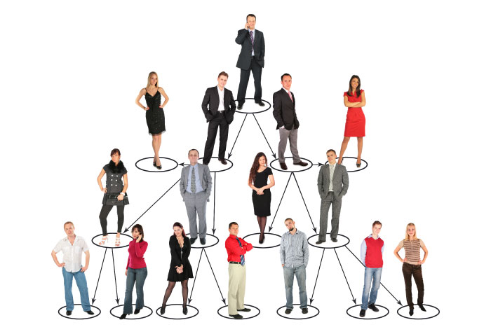 Aprovação da ficha cadastral